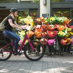 Bikes Norco Scene 1 Urban City Bike Black (2021)