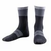 Bellwether Hammer Sock Black
