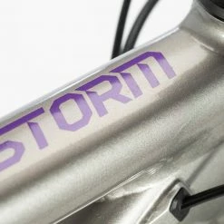 Bikes Norco Storm 1 W Cross Country Bike Silver/Violet (2020)