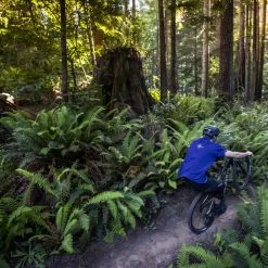 Bikes Marin Rift Zone 2 Trail Bike Black/Blue/Yellow (2022) 7 Bikes Marin Rift Zone 2 Trail Bike Black/Blue/Yellow (2022)