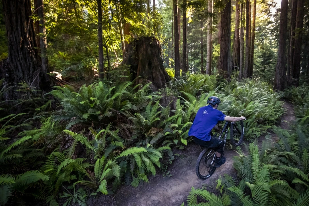 Bikes Marin Rift Zone 2 Trail Bike Black/Blue/Yellow (2022) 3 Bikes Marin Rift Zone 2 Trail Bike Black/Blue/Yellow (2022)