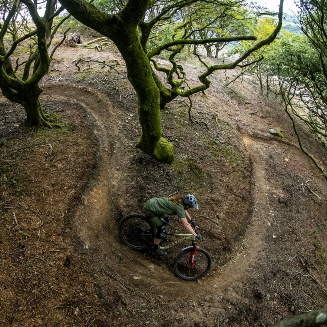 Marin Alpine Trail XR All-Mountain Bike Tan/Black/Red (2022) 5 Marin Alpine Trail XR All-Mountain Bike Tan/Black/Red (2022)