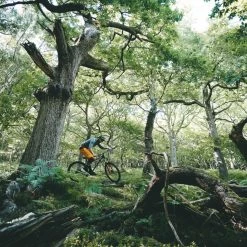 Bikes Merida Big Trail 600 Hardtail Mountain Bike Matt Fog Green/Red/Silver (2022) 8 Bikes Merida Big Trail 600 Hardtail Mountain Bike Matt Fog Green/Red/Silver (2022)