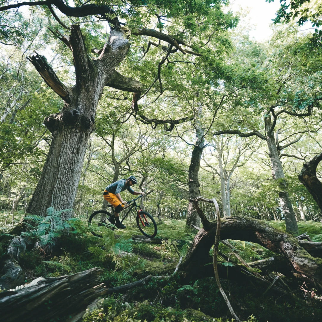 Bikes Merida Big Trail 600 Hardtail Mountain Bike Matt Fog Green/Red/Silver (2022) 3 Bikes Merida Big Trail 600 Hardtail Mountain Bike Matt Fog Green/Red/Silver (2022)