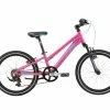 Bikes Merida Matts J20 Kids 20” Mountain Bike Candy Pink/Blue