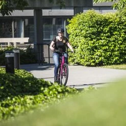 Bikes Norco Scene 3 Hybrid Bike Raspberry (2021) 6 Bikes Norco Scene 3 Hybrid Bike Raspberry (2021)