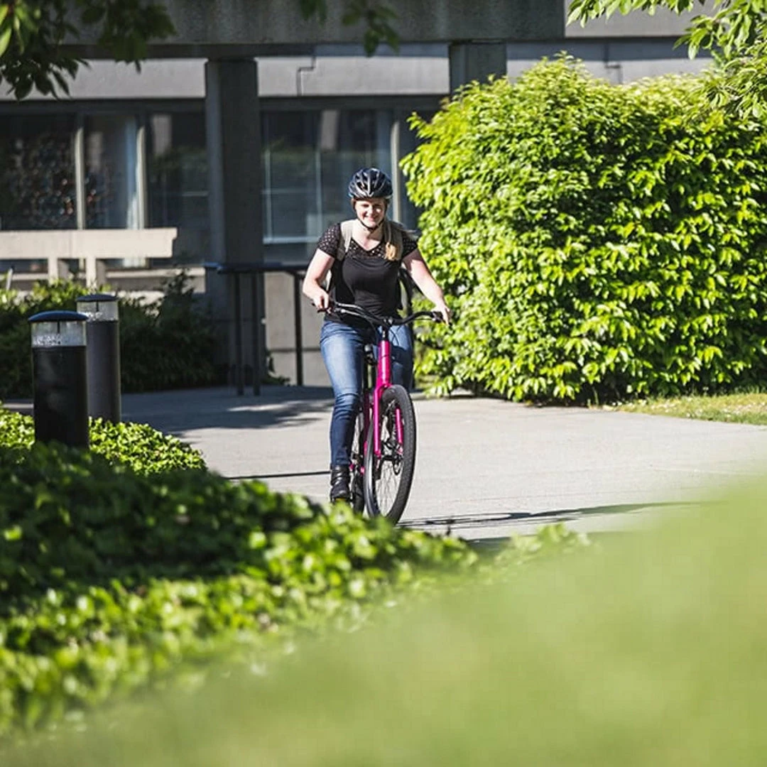 Bikes Norco Scene 3 Hybrid Bike Raspberry (2021) 3 Bikes Norco Scene 3 Hybrid Bike Raspberry (2021)