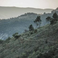 POC Joint VPD Air Elbow Pads Uranium Black 9 POC Joint VPD Air Elbow Pads Uranium Black