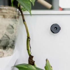 Quad Lock Adhesive Wall Mount Twin Pack Computers & Electrical