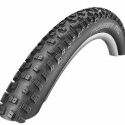 Parts & Maintenance Schwalbe Tyre 29 X 2.25 Nobby Nic Perf Fold